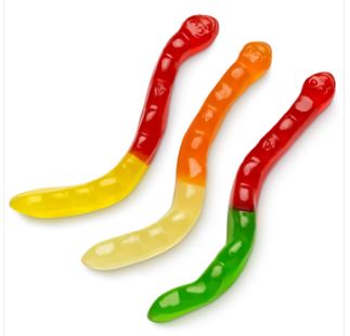 (S3 - 02) Bulk - Albanese Assorted Worms 4" - 5lb (2.27kg) x 1 Bag - SugarMarket.ca