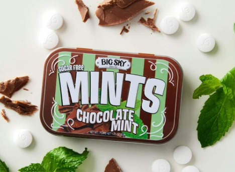 1 unit x Single -  Big Sky - Sugar Free Mints - Chocolate Mint Flavour 50g