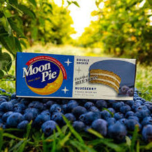 (S2-07) Box - Us - Moon Pie - Double Decker Blueberry 2.75oz (78g) x 9 Units