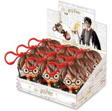 (S6-14) HARRY POTTER Keyring Container 5g x 9 Units