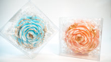 (S6-15)  Canada - Crystal Gems - Peony 86g x 6 Displayer Boxes