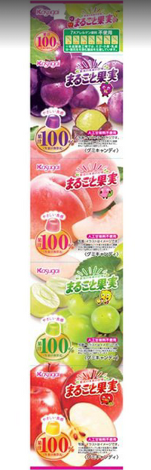 JAPAN - Kasugai - Confectionery Whole Fruit 4 packs 100g X 15 UNITS