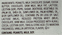 (S8-04) US -Halloween - Reese Peanut Butter Pumpkins Bar - 1.2oz(34g) x 36 units