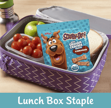 (S6 - 06) Box - US - Case - Scooby - Doo Graham Cracker Snack - Cinnamon 1oz (28.35) x 40 units - SugarMarket.ca