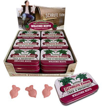 (S1-09) China - BOSTON AMERICA -  THE OFFICE SCHRUTE FARMS MINTS X 18 UNITS