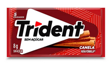 (S3-02) TRIDENT CINNAMON BUBBLE GUM 8g x 21 Units